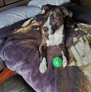 Meet your Posher, Giovanna